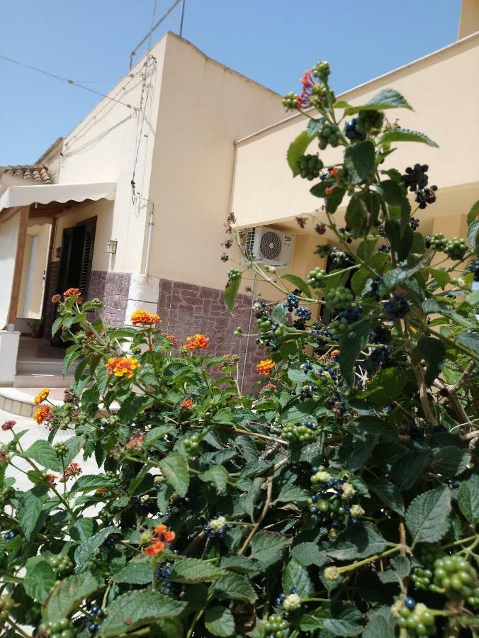 Apartment Of Kite And Wine Birgi Vecchi Exterior photo